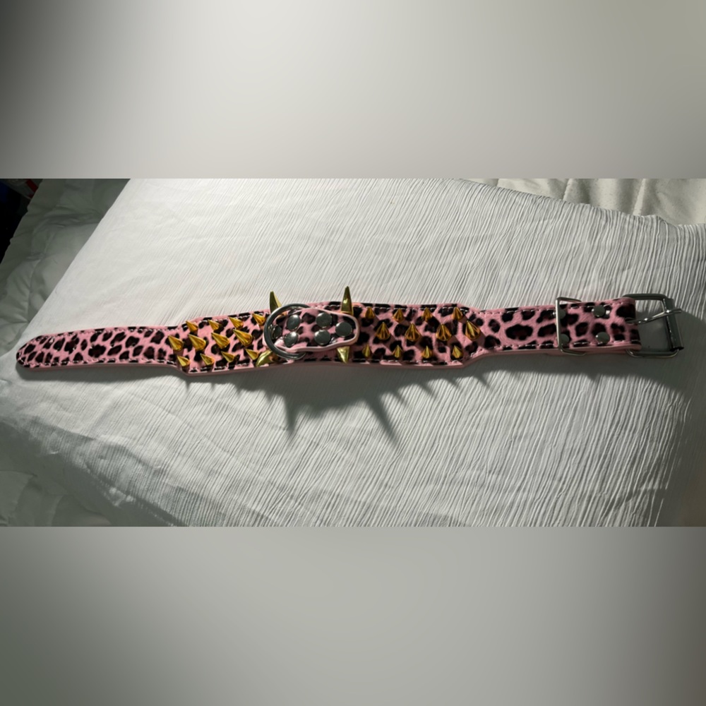 Brand new bad girl pink spiked collar.